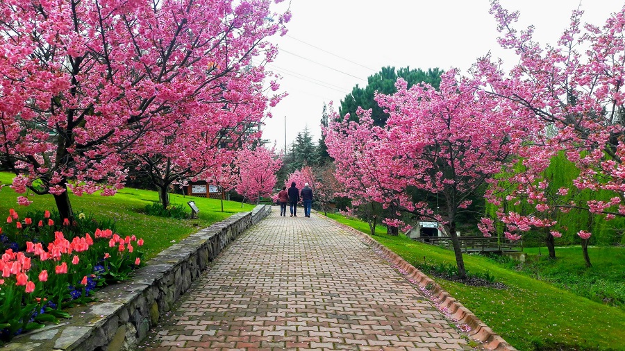 Nezahat Gökyiğit Botanical Garden